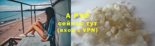 крисы Алексин