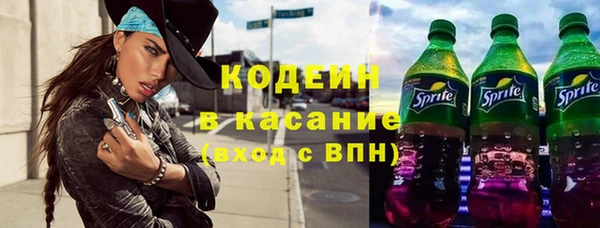 крисы Алексин