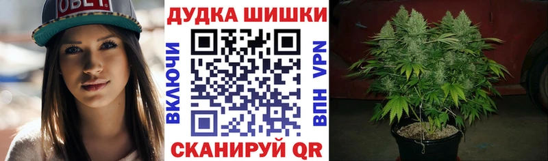 Купить закладки  Бологое  Каннабис White Widow 